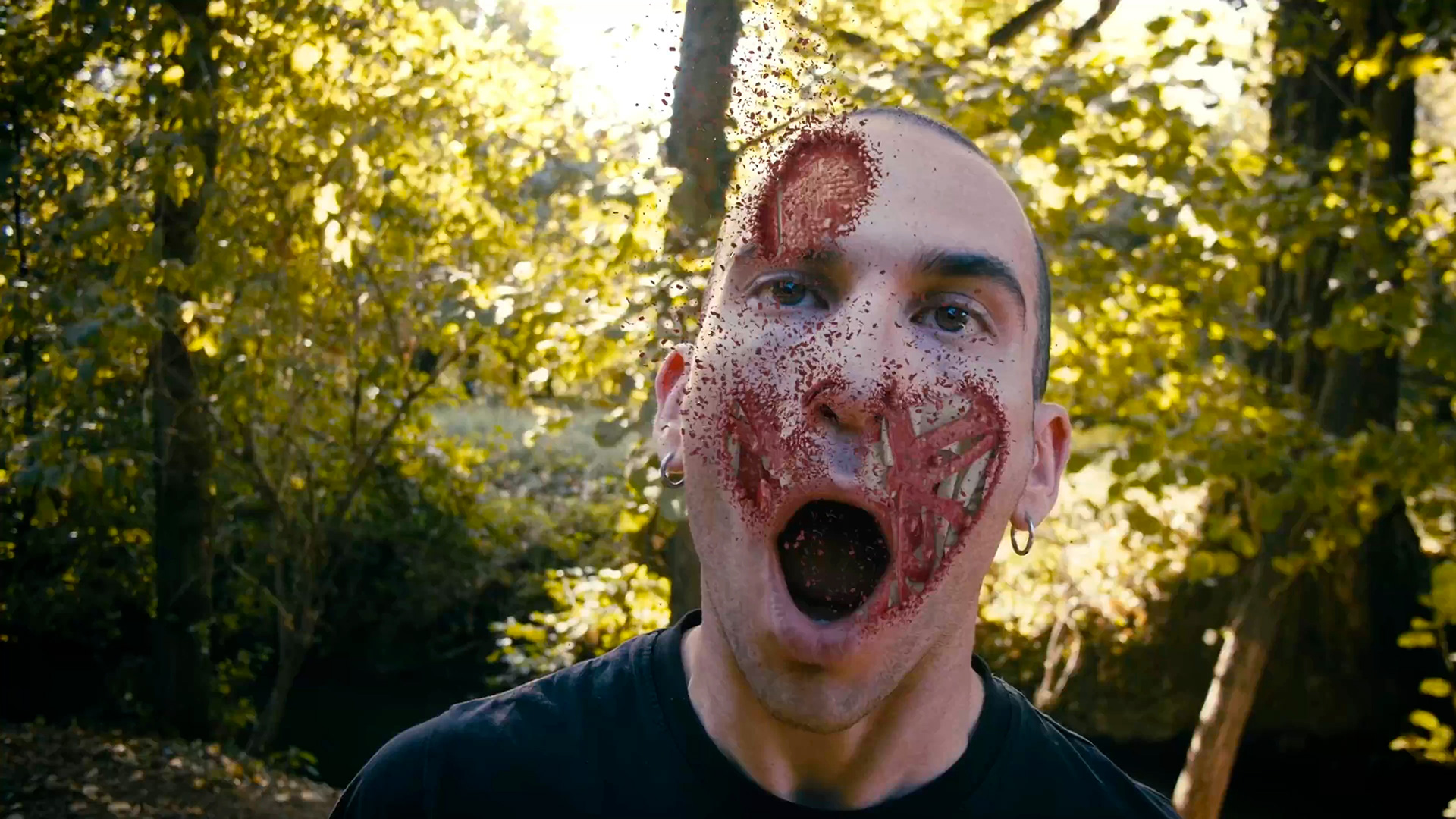 FACE MELTING | Simulation test | 2022